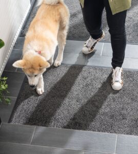 ECO porivaip koeraga koduses sissepääsus