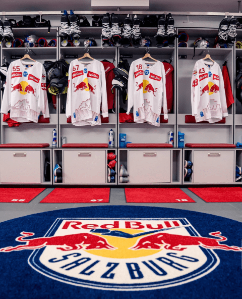 Esinduslikud ja vastupidavad logovaibad siseruumidesse