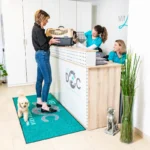 Vastuvõtuala logovaip FloorStudio