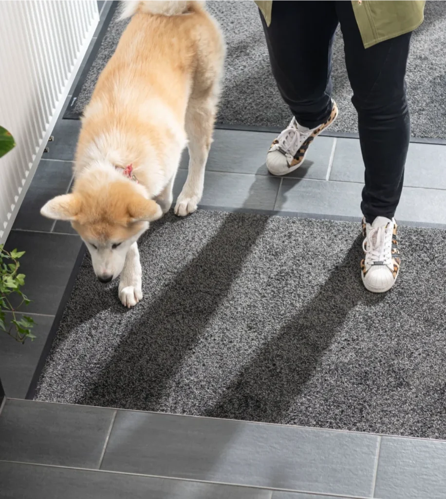 Porimatid koju – kuidas valida? 2 Porimatid koju